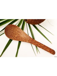 Vietnam Kokosholz Sch&ouml;pfl&ouml;ffel Juan 20 cm = Code Z