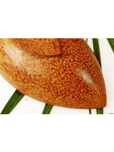 Vietnam Kokosholz Schale Song 19 cm = Code C