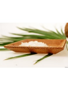 Vietnam Kokosholz Teller / Tablet Liang 12 x 12 cm = Code B