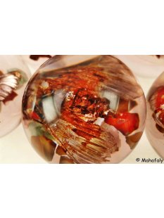 K&auml;ferkugeln Insekten in Acryl D: 70 mm