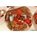 K&auml;ferkugeln Insekten in Acryl D: 70 mm