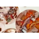 K&auml;ferkugeln Insekten in Acryl D: 70 mm