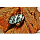echte Abalone Perlmutt Ring Erestos3 Gr&ouml;&szlig;e variabel 30 x 15 mm = Code C