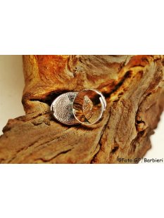 echte Abalone Perlmutt Ring Erestos4 Gr&ouml;&szlig;e variabel 30 x 15 mm = Code C