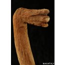 MF331 Fragment von Grabstele der Sakalava H&ouml;ckerente 53 cm 1940