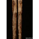 AL127 original AloAlo Skulptur der Sakalava Grabw&auml;chter Bikinifrau 170 cm ca. 1950