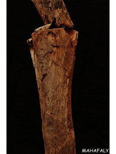 AL129 AloAlo Skulptur der Sakalava Grabw&auml;chter Die Frau mit Baby 140 cm ca. 1930