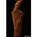 AL129 AloAlo Skulptur der Sakalava Grabw&auml;chter Die Frau mit Baby 140 cm ca. 1930