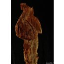 AL144 AloAlo Fragment von Grabstele der Sakalava H&ouml;ckerenten 68 cm 1930