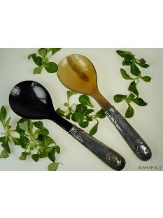 Salatl&ouml;ffel. Silbergriff 30 cm   Code K