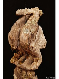 AL135 original AloAlo Grabstele der Sakalava oder Mahafaly antik 2 Totenv&ouml;gel 170 cm ca. 1925