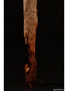 AL135 original AloAlo Grabstele der Sakalava oder Mahafaly antik 2 Totenv&ouml;gel 170 cm ca. 1925