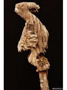 AL135 original AloAlo Grabstele der Sakalava oder Mahafaly antik 2 Totenv&ouml;gel 170 cm ca. 1925