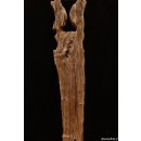 AL135 original AloAlo Grabstele der Sakalava oder Mahafaly antik 2 Totenv&ouml;gel 170 cm ca. 1925