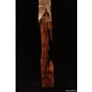 AL135 original AloAlo Grabstele der Sakalava oder Mahafaly antik 2 Totenv&ouml;gel 170 cm ca. 1925