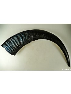 Zier Horn Wasserb&uuml;ffel Dekohorn l&auml;ngs halbiert...