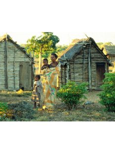 MF386 Skulptur der Mahafaly Wassertr&auml;gerin 1975 = 65 cm