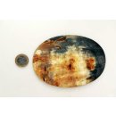 Hornplatten 150 mm 5 Formen  poliert / antik / matt
