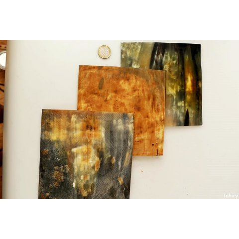 Hornplatten 150 mm quadratisch seidenmatt poliert