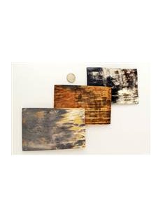 Hornplatten 150 x 100 mm rechteckig seidenmatt poliert