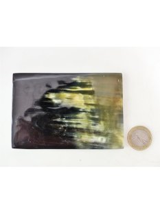 Hornplatten 100 x 70 mm rechteckig gl&auml;nzend poliert