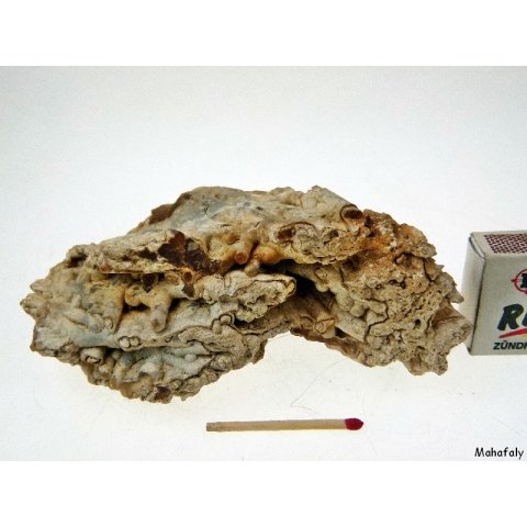 KS117 Achatr&ouml;hren Formation 380 g