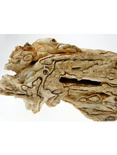 KS117 Achatr&ouml;hren Formation 380 g