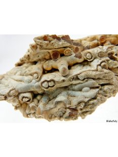 KS117 Achatr&ouml;hren Formation 380 g