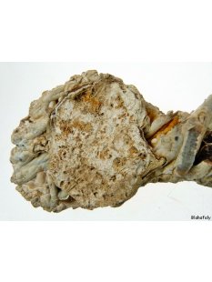 KS117 Achatr&ouml;hren Formation 380 g