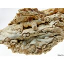 KS117 Achatr&ouml;hren Formation 380 g