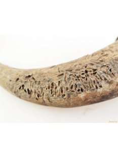 Zauberhorn Mohara ody Nr.4 Amulett und Fetisch der Sakalava 44 cm ca. 1950