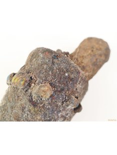 Zauberhorn Mohara ody Nr.4 Amulett und Fetisch der Sakalava 44 cm ca. 1950