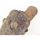 Zauberhorn Mohara ody Nr.4 Amulett und Fetisch der Sakalava 44 cm ca. 1950