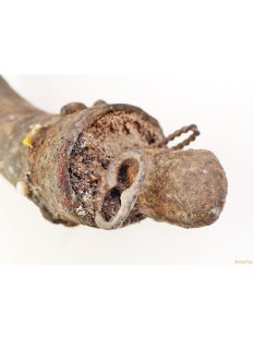 Zauberhorn Mohara ody Nr.11 Amulett und Fetisch der Sakalava 43 cm ca. 1950