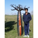 Deko Baobab Baum aus alten &Ouml;lf&auml;ssern 180 cm wetterfest