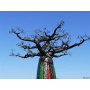 Deko Baobab Baum aus alten &Ouml;lf&auml;ssern 230 cm wetterfest