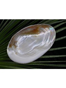 echt Perlmutt Schale mit Schneckenf&uuml;&szlig;en und...