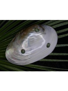 echt Perlmutt Schale mit Schneckenf&uuml;&szlig;en und...