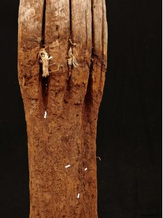 AL112 original AloAlo Grabpfosten Sakalava Frau mit Insektenkopf 155 cm 1940