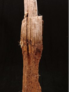 AL112 original AloAlo Grabpfosten Sakalava Frau mit Insektenkopf 155 cm 1940