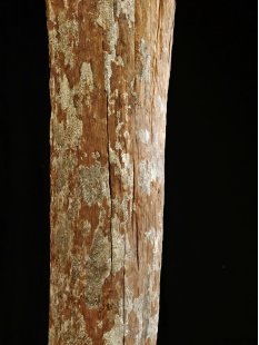 AL219 original AloAlo Grabpfosten Sakalava nackter Mann 190 cm 1940