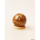 K120  fossiles und versteinertes Holz silifiziert Kugel Madagaskar  470 g D 68 mm
