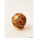 K121  fossiles und versteinertes Holz silifiziert Kugel Madagaskar  270 g D 57 mm