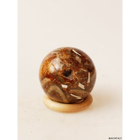 K124  fossiles und versteinertes Holz silifiziert Kugel Madagaskar  320 g D 60 mm