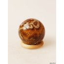 K124  fossiles und versteinertes Holz silifiziert Kugel Madagaskar  320 g D 60 mm