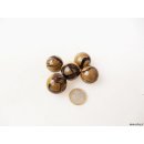 1 St&uuml;ck Septarien Kugel Madagaskar D 25 mm Rarit&auml;t