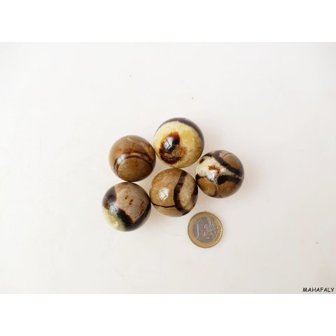 1 St&uuml;ck Septarien Kugel Madagaskar D 30 mm Rarit&auml;t