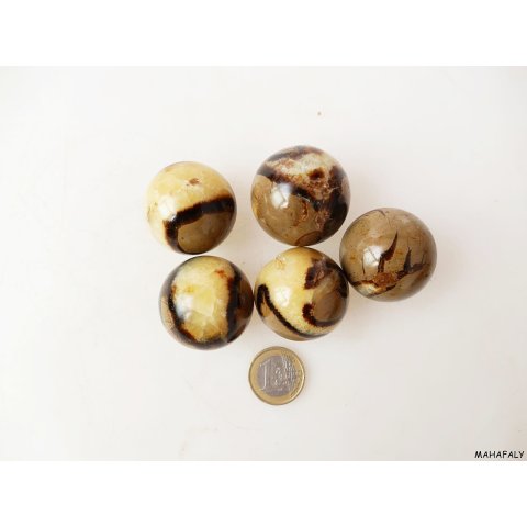1 St&uuml;ck Septarien Kugel Madagaskar D 35 mm Rarit&auml;t