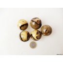 1 St&uuml;ck Septarien Kugel Madagaskar D 35 mm Rarit&auml;t