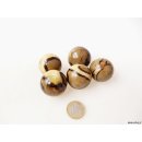 1 St&uuml;ck Septarien Kugel Madagaskar D 35 mm Rarit&auml;t